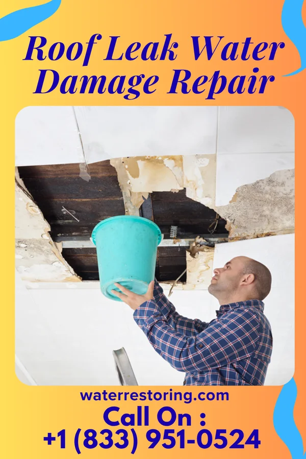 Roof Leak Water Damage Repair in Taylor Landing, TX