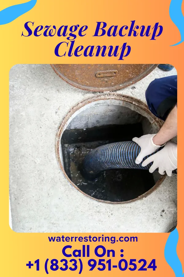 Sewage Backup Cleanup in Taylor Landing, TX