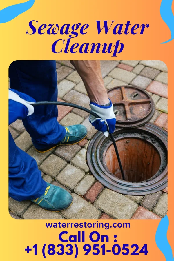 Sewage Water Cleanup in Taylor Landing, TX